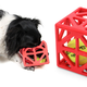 Illustration for article titled Everything You Need To Completely and Utterly Humiliate Your Pet